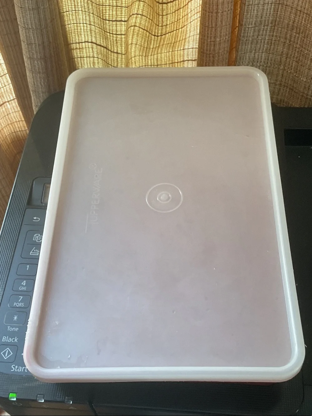 Tupperware bacon or hot dog keeper